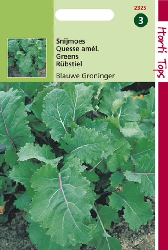 Greens  Groninger (Brassica napus)